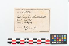 Etikett zu Eisenwaffe (NHMW-PRAE-025882)